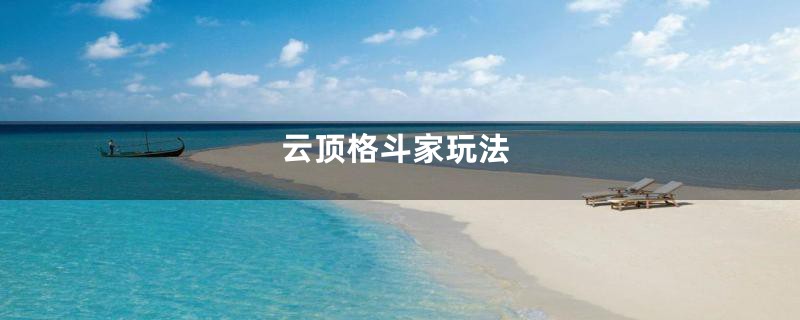 云顶格斗家玩法