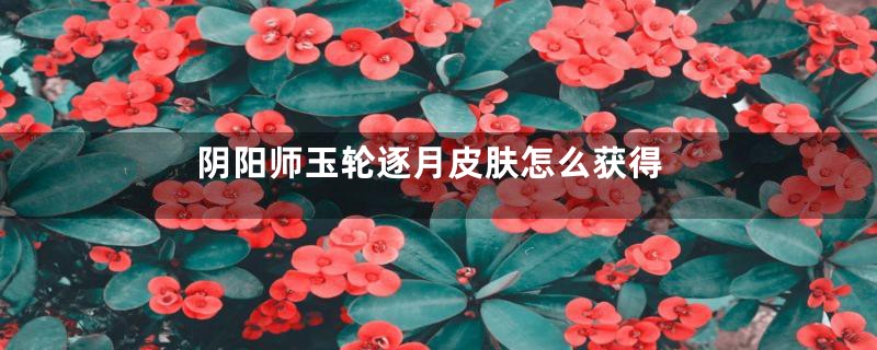阴阳师玉轮逐月皮肤怎么获得