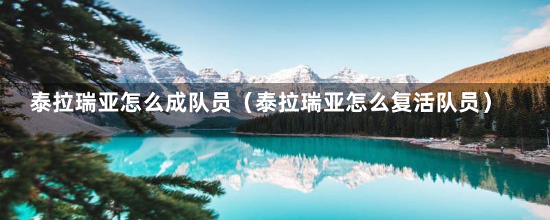 泰拉瑞亚怎么成队员(泰拉瑞亚怎么复活队员)