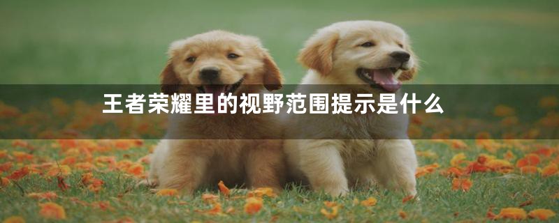 王者荣耀里的视野范围提示是什么