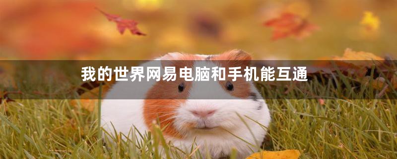 我的世界网易电脑和手机能互通