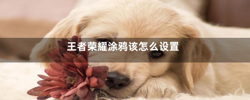 王者荣耀涂鸦该怎么设置