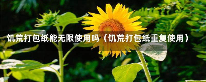 饥荒打包纸能无限使用吗（饥荒打包纸重复使用）