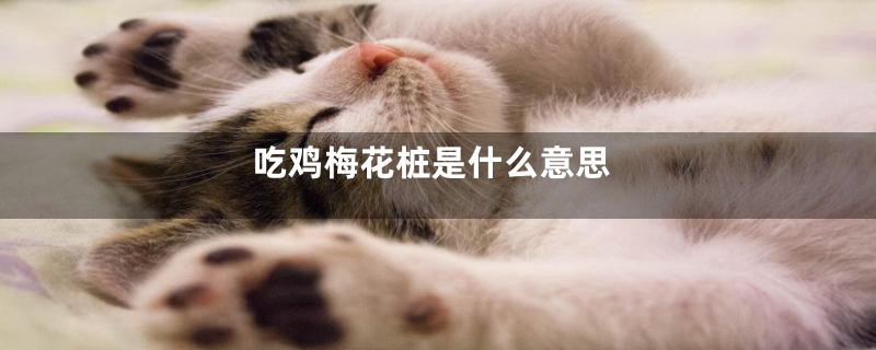 吃鸡梅花桩是什么意思