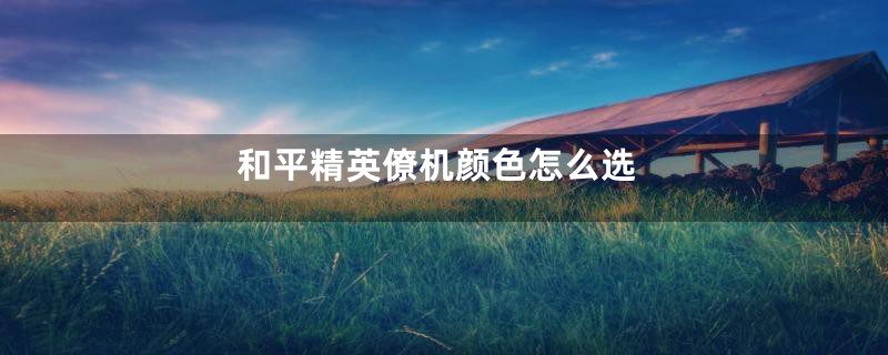 和平精英僚机颜色怎么选