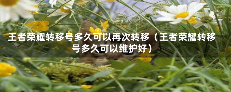 王者荣耀转移号多久可以再次转移（王者荣耀转移号多久可以维护好）