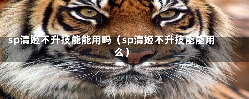 sp清姬不升技能能用吗(sp清姬不升技能能用么)