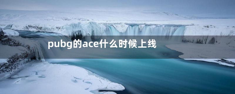 pubg的ace什么时候上线