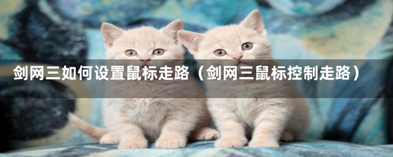 剑网三如何设置鼠标走路(剑网三鼠标控制走路)