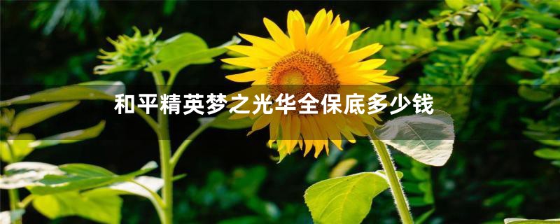和平精英梦之光华全保底多少钱