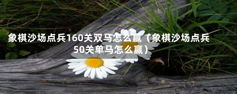 象棋沙场点兵160关双马怎么赢(象棋沙场点兵50关单马怎么赢)