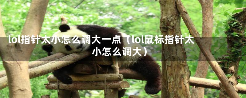 lol指针太小怎么调大一点(lol鼠标指针太小怎么调大)