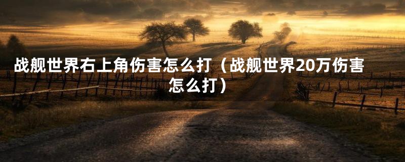 战舰世界右上角伤害怎么打(战舰世界20万伤害怎么打)