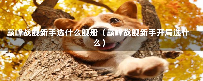 巅峰战舰新手选什么舰船（巅峰战舰新手开局选什么）