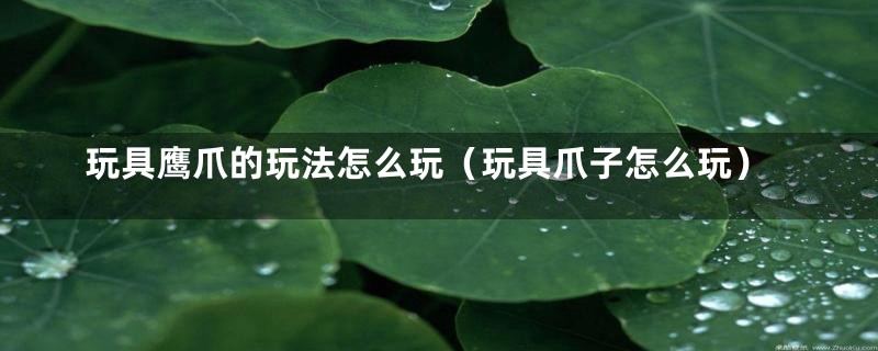 玩具鹰爪的玩法怎么玩(玩具爪子怎么玩)