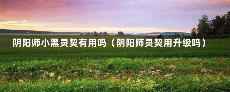阴阳师小黑灵契有用吗（阴阳师灵契用升级吗）
