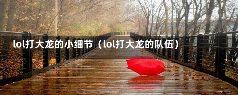 lol打大龙的小细节(lol打大龙的队伍)