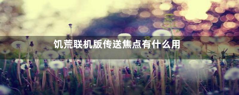 饥荒联机版传送焦点有什么用