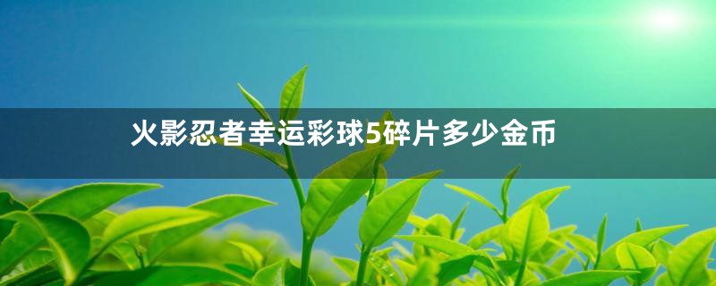 火影忍者幸运彩球5碎片多少金币