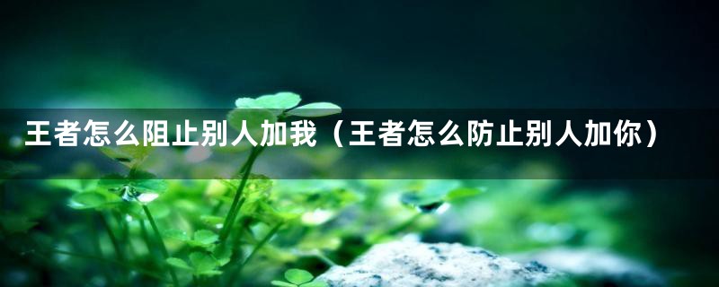 王者怎么阻止别人加我(王者怎么防止别人加你)