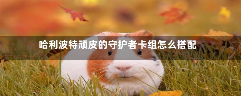 哈利波特顽皮的守护者卡组怎么搭配