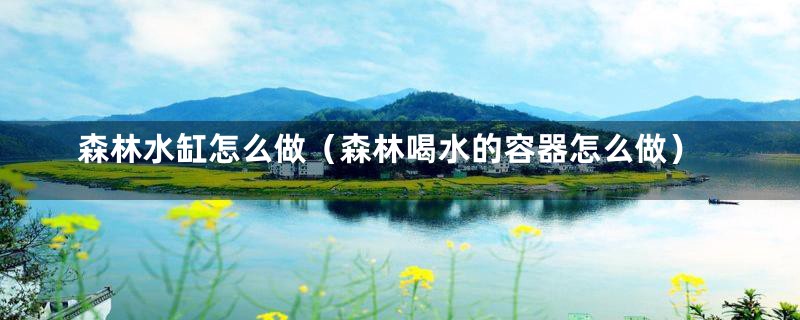 森林水缸怎么做(森林喝水的容器怎么做)
