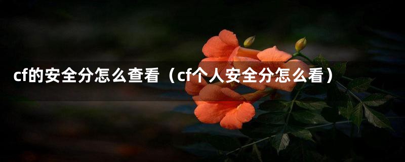 cf的安全分怎么查看（cf个人安全分怎么看）