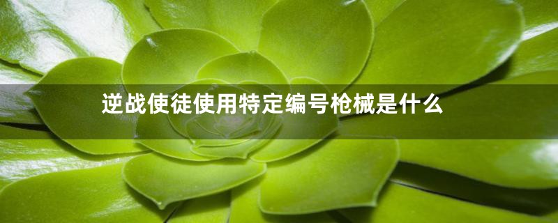逆战使徒使用特定编号枪械是什么