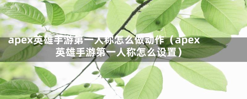 apex英雄手游第一人称怎么做动作（apex英雄手游第一人称怎么设置）