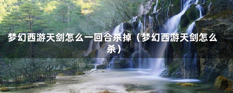 梦幻西游天剑怎么一回合杀掉(梦幻西游天剑怎么杀)