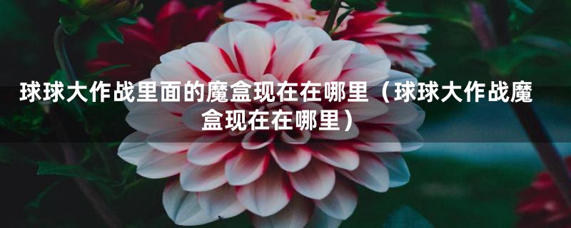 球球大作战里面的魔盒现在在哪里(球球大作战魔盒现在在哪里)