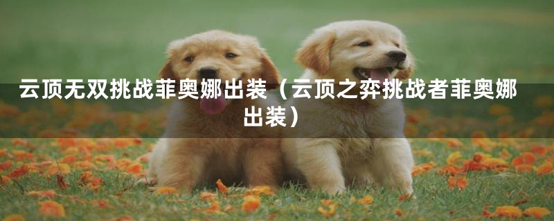 云顶无双挑战菲奥娜出装(云顶之弈挑战者菲奥娜出装)