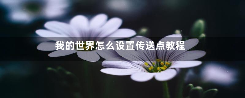 我的世界怎么设置传送点教程