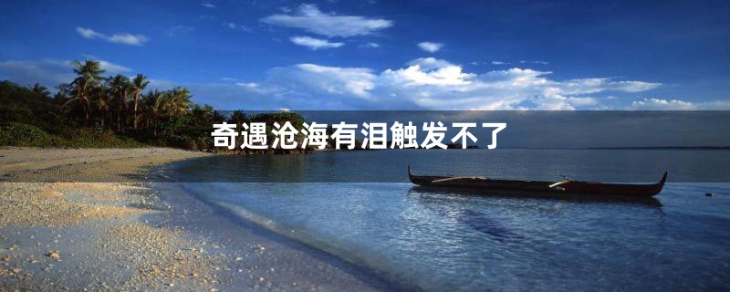 奇遇沧海有泪触发不了