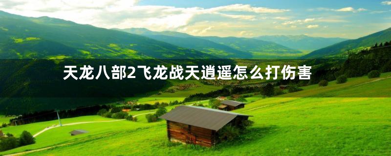 天龙八部2飞龙战天逍遥怎么打伤害