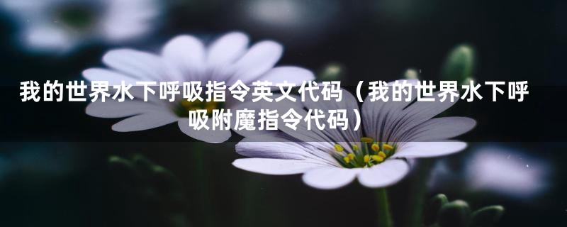 我的世界水下呼吸指令英文代码（我的世界水下呼吸附魔指令代码）