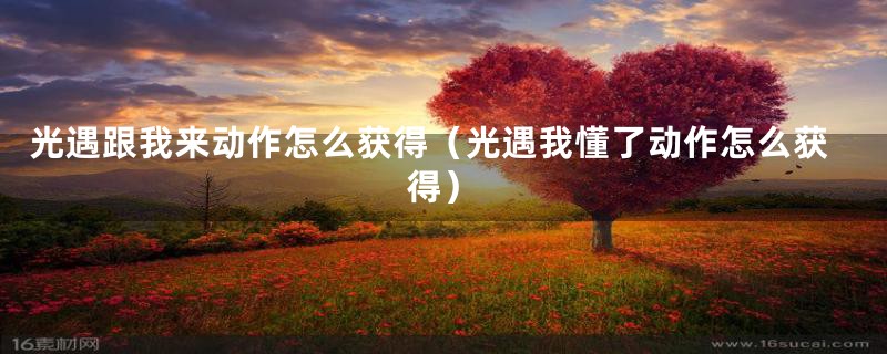 光遇跟我来动作怎么获得（光遇我懂了动作怎么获得）