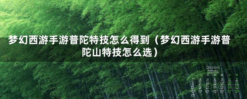 梦幻西游手游普陀特技怎么得到（梦幻西游手游普陀山特技怎么选）