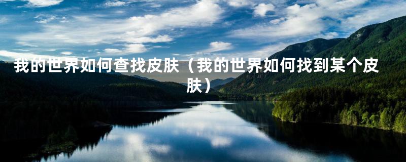 我的世界如何查找皮肤(我的世界如何找到某个皮肤)