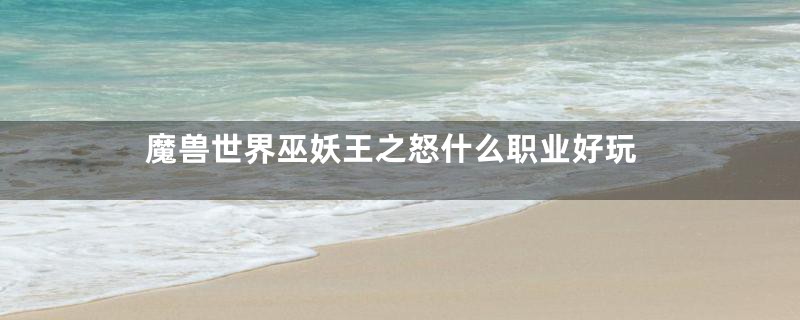 魔兽世界巫妖王之怒什么职业好玩