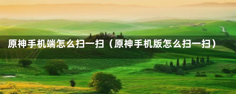 原神手机端怎么扫一扫（原神手机版怎么扫一扫）