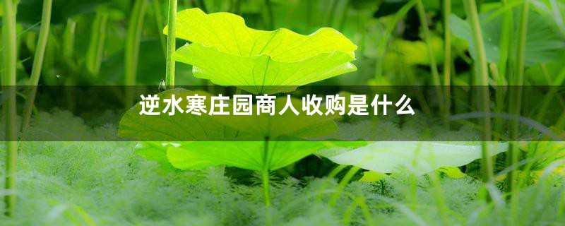 逆水寒庄园商人收购是什么