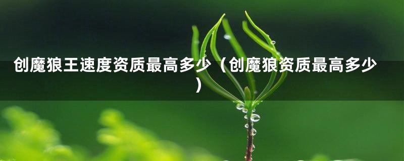创魔狼王速度资质最高多少（创魔狼资质最高多少）