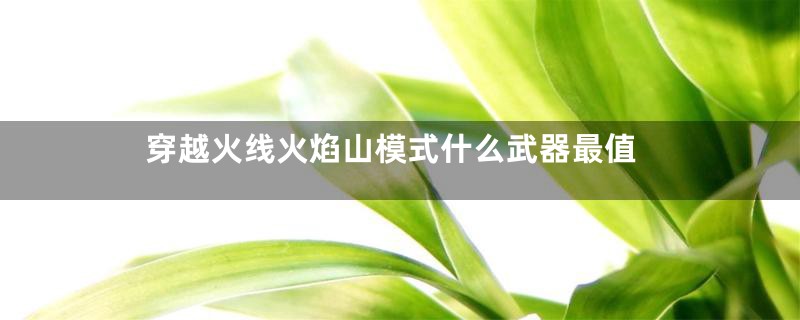 穿越火线火焰山模式什么武器最值