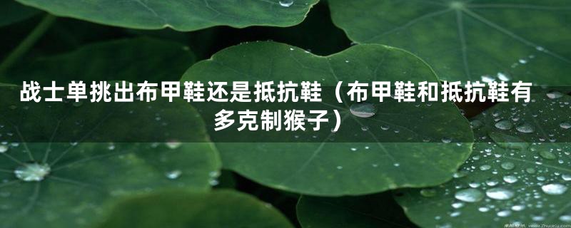 战士单挑出布甲鞋还是抵抗鞋(布甲鞋和抵抗鞋有多克制猴子)