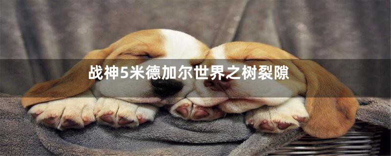 战神5米德加尔世界之树裂隙
