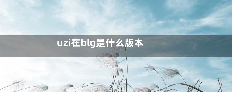 uzi在blg是什么版本
