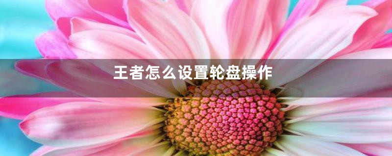 王者怎么设置轮盘操作
