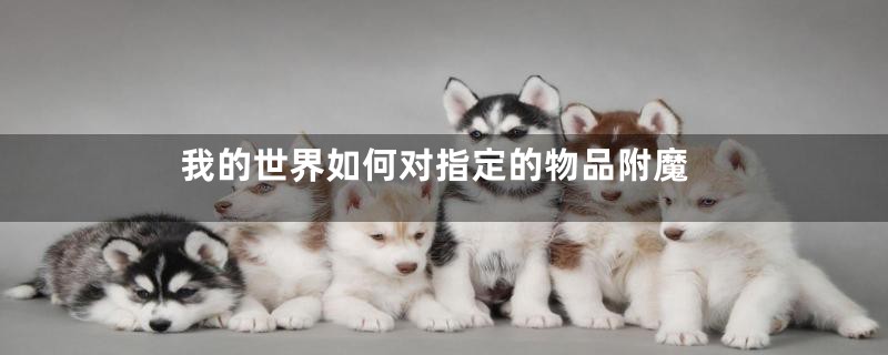 我的世界如何对指定的物品附魔