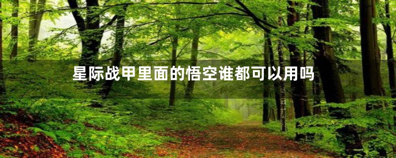 星际战甲里面的悟空谁都可以用吗